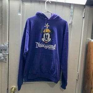 Vintage Disneyland Resort Purple Hoodie